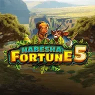 Habesha Fortune 5 screenshot
